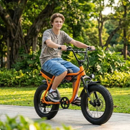 Lavelle V101 Ebike