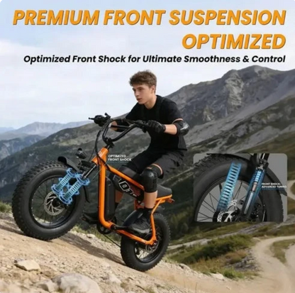 Lavelle V101 Ebike