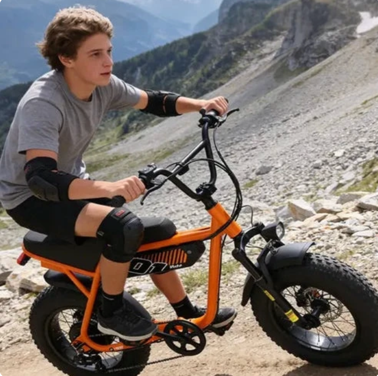 Lavelle V101 Ebike
