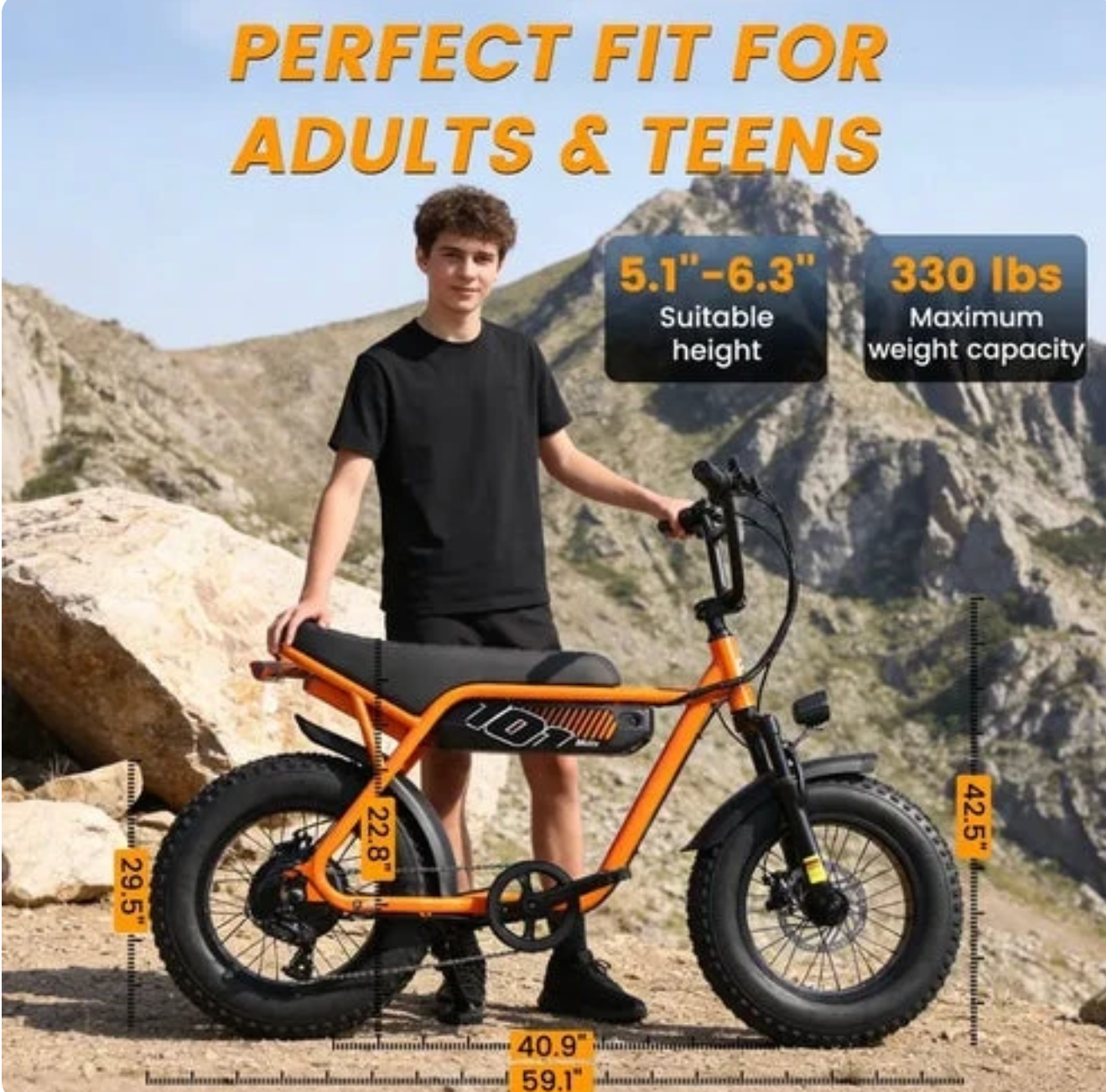 Lavelle V101 Ebike